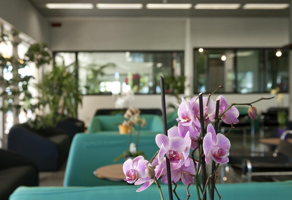 Hotel Cormoran Cattolica Ngoại thất bức ảnh