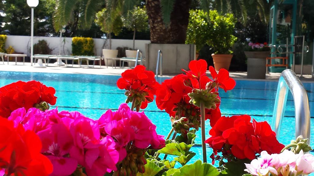 Hotel Cormoran Cattolica Ngoại thất bức ảnh