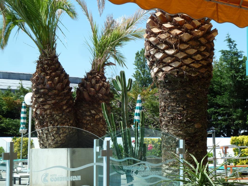 Hotel Cormoran Cattolica Ngoại thất bức ảnh